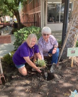 Melanie Marsh and Wendy L'Herault tending to some downtown planters.
